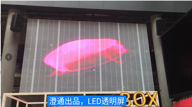 河北廊坊市幸福港灣商業(yè)管理有限公司- 透明屏項目